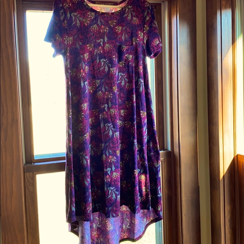 LulaRoe Carly Dress